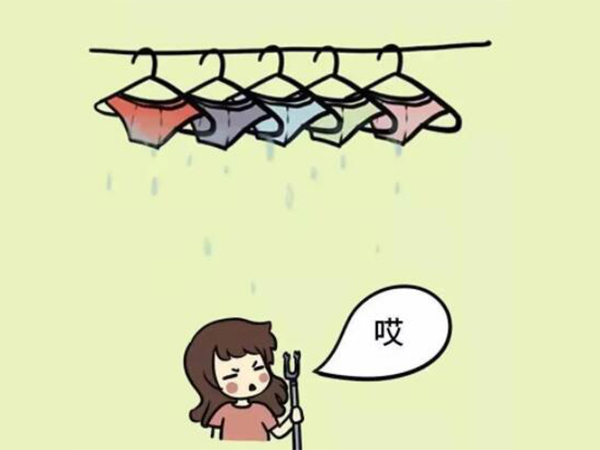 內(nèi)衣干衣機(jī) 內(nèi)衣干衣機(jī)