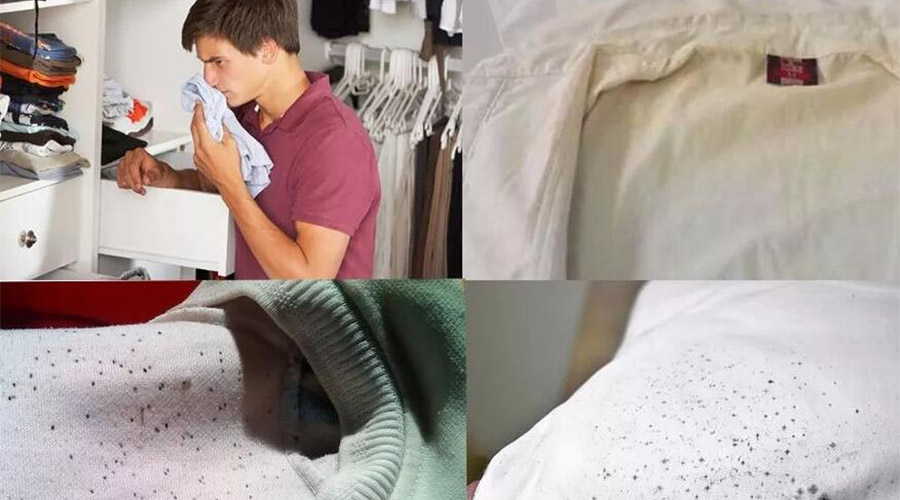 衣服護(hù)理小常識：潮濕天衣物有霉味不宜穿  該怎么辦？