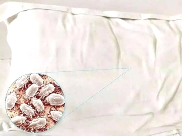 滾筒衣服烘干機(jī) 滾筒衣服烘干機(jī)