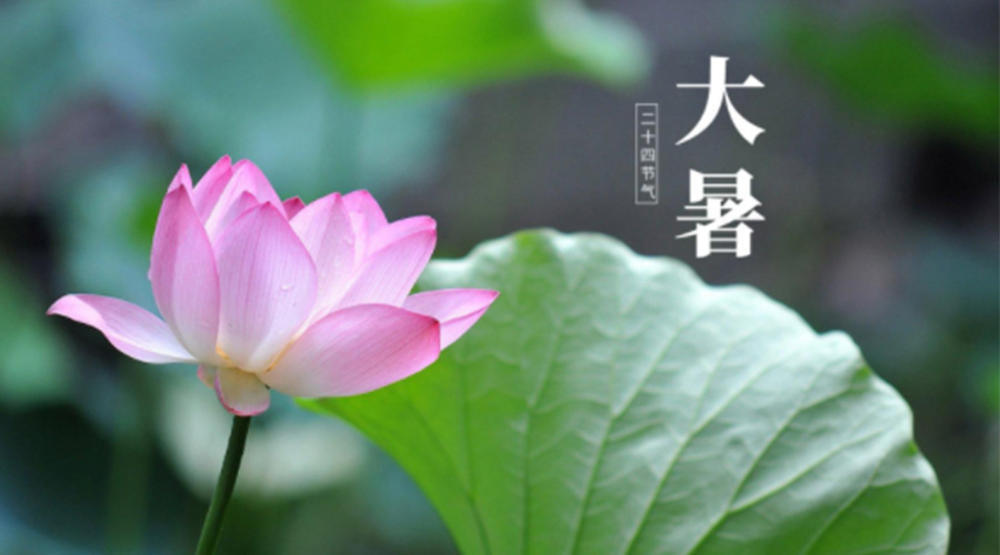 大暑時(shí)節(jié)！金環(huán)電器提醒大家注意這些干衣細(xì)節(jié)