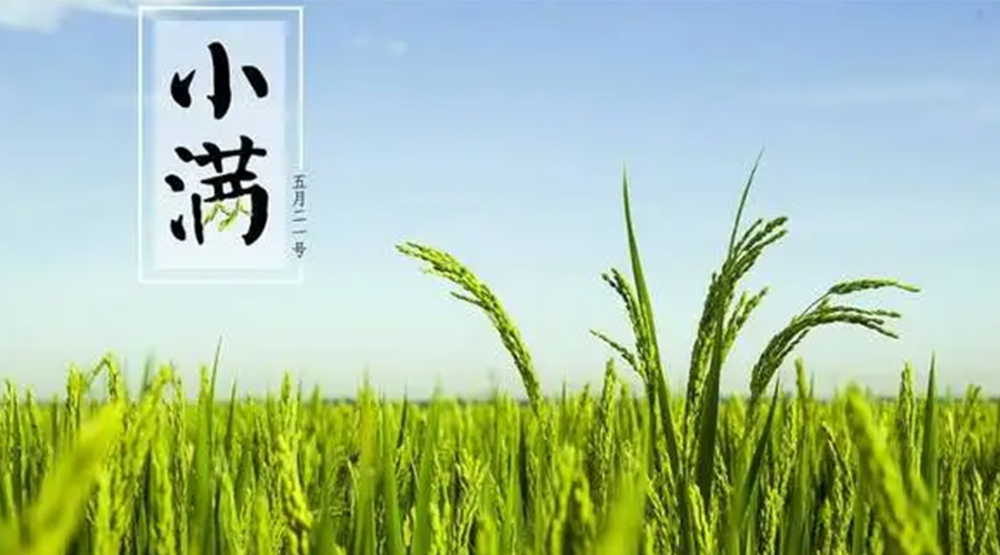小滿時節(jié)！金環(huán)電器提醒大家要注意的事項