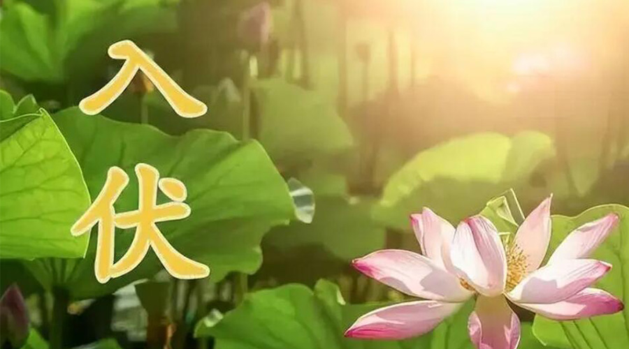 入伏天來襲！金環(huán)電器提醒大家要注意的事項