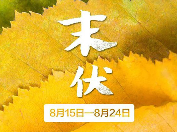 金環(huán)電器 金環(huán)電器