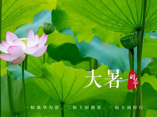 金環(huán)電器 金環(huán)電器