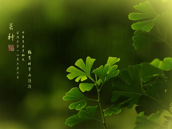 金環(huán)電器 金環(huán)電器