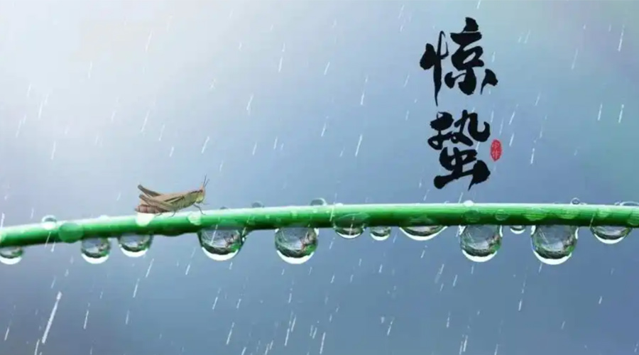 驚蟄時節(jié)！金環(huán)電器提醒大家干衣要注意這些