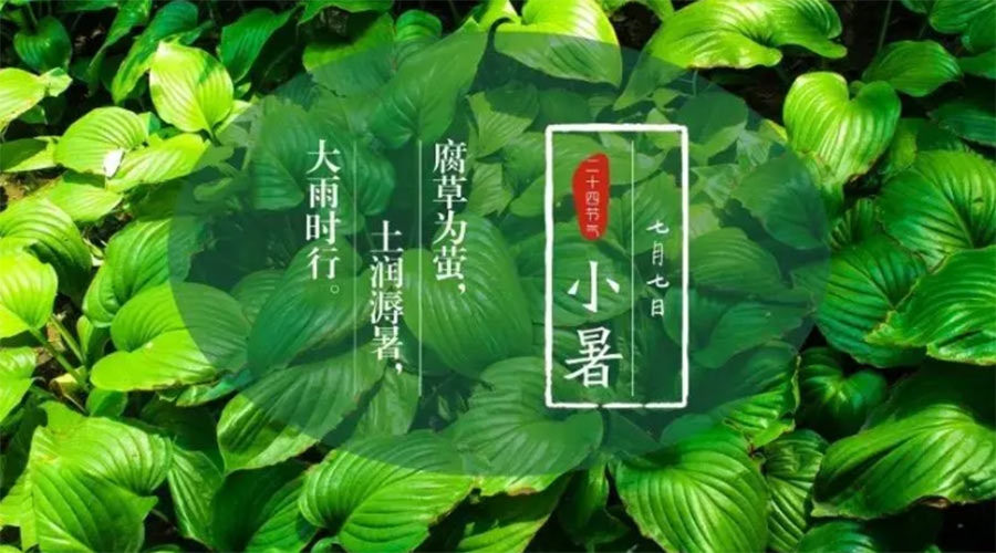 小暑時節(jié)來到！金環(huán)電器提醒大家要注意的事項