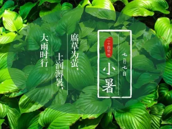 衣物烘干機(jī) 衣物烘干機(jī)