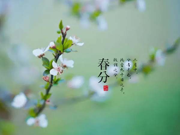 金環(huán)電器 金環(huán)電器