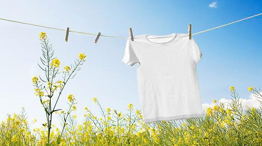 滾筒干衣機(jī)紫外線燈除菌對比太陽光除菌哪個(gè)效果更好