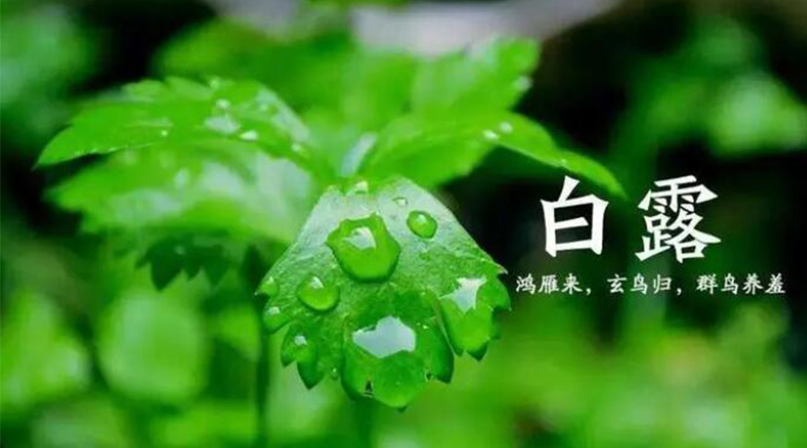 白露時(shí)節(jié)！金環(huán)電器提醒大家要注意的事項(xiàng)
