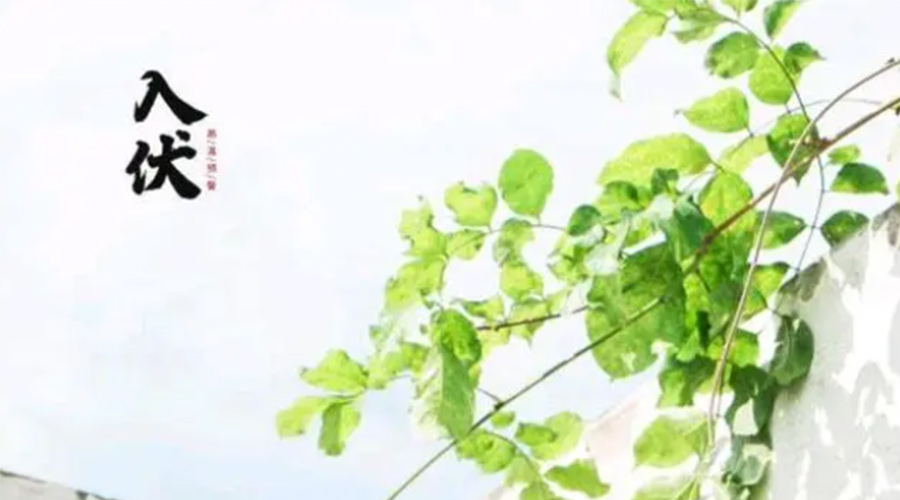 初伏時節(jié)！金環(huán)電器提醒大家要注意的事項