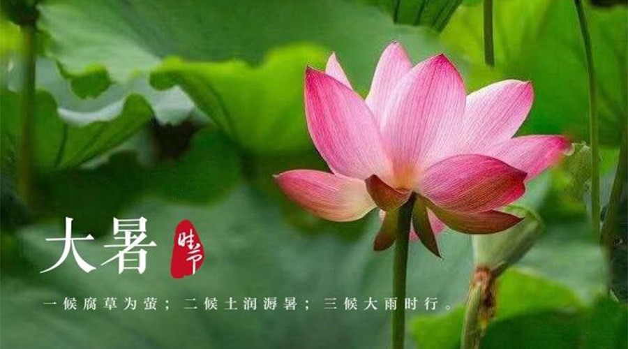大暑時(shí)節(jié)！金環(huán)電器提醒大家要注意的事項(xiàng)