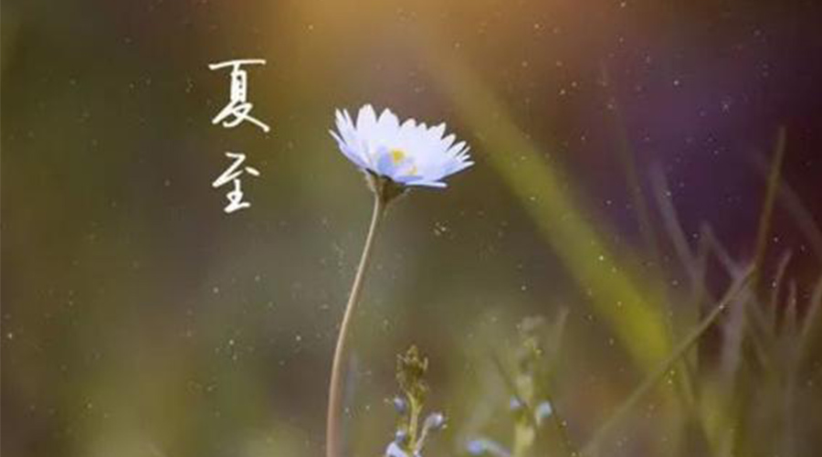 夏至有哪些傳統習俗  金環(huán)電器來告訴你