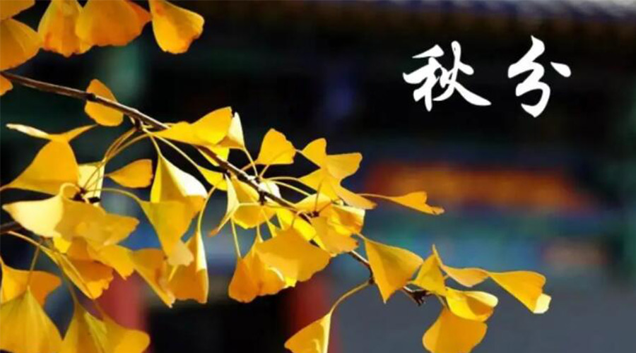 秋分時節(jié)！金環(huán)電器提醒大家要注意的事項