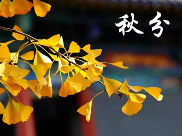 金環(huán)電器 金環(huán)電器