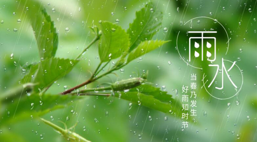 雨水時(shí)節(jié)！金環(huán)電器提醒大家要注意的事項(xiàng)