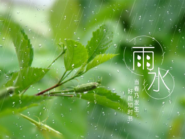 金環(huán)電器 金環(huán)電器