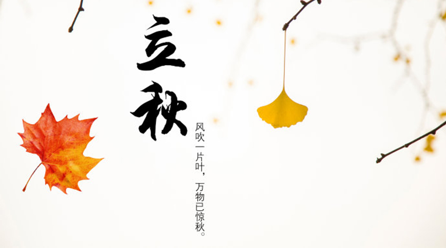 立秋時(shí)節(jié)！金環(huán)電器提醒大家要注意這些事項(xiàng)